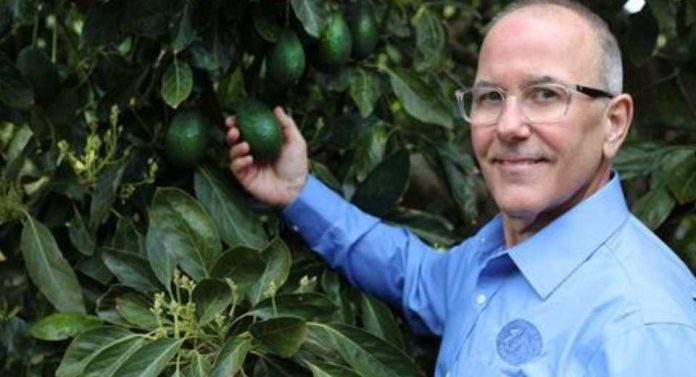 La Comisión del Aguacate de California prevé una cosecha de 150 000 toneladas tras la jubilación del vicepresidente de marketing, Terry Splane