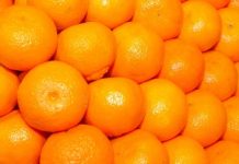La UE detecta las primeras naranjas de Egipto con residuos y productos fitosanitarios prohibidos La UE detecta las primeras naranjas de Egipto con residuos y productos fitosanitarios prohibidos