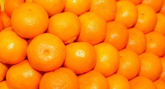 La UE detecta las primeras naranjas de Egipto con residuos y productos fitosanitarios prohibidos