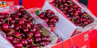 La industria de la cereza entra en una era de ajuste "se termina el súper ciclo de altos precios"