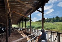 La tecnología de corte por plasma impulsa la productividad y reduce costos en la agroindustria La tecnología de corte por plasma impulsa la productividad y reduce costos en la agroindustria