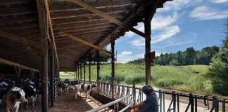 La tecnología de corte por plasma impulsa la productividad y reduce costos en la agroindustria