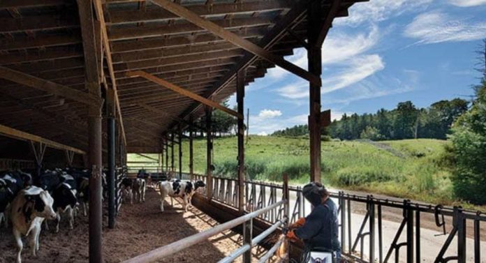 La tecnología de corte por plasma impulsa la productividad y reduce costos en la agroindustria