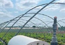 La tecnología que redefine el riego agrícola en Europa