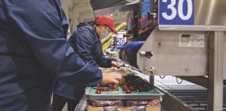 Las cerezas chilenas no logran alcanzar el punto óptimo en China