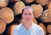 Ley de Incendios: Más allá de las sanciones Ley de Incendios: Más allá de las sanciones