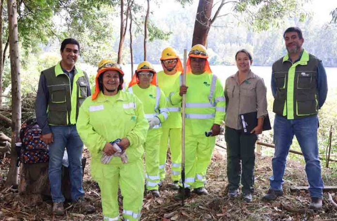 Los equipos del programa de emergencia están ejecutando diversos trabajos, como eliminación de material combustible