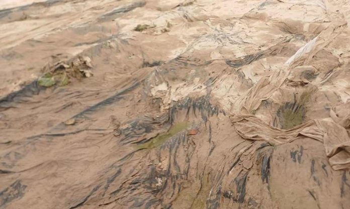 España | Los invernaderos de Almería, ‘en jaque’ por el viento y la humedad
