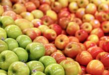 Manzanas europeas bajo la lupa: El 85% contiene «cócteles» de hasta 14 pesticidas destaca estudio Manzanas europeas bajo la lupa: El 85% contiene «cócteles» de hasta 14 pesticidas destaca estudio