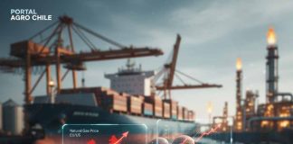 Mercado de fertilizantes 2026: Urea se mantiene firme ante el repunte en los costos del gas