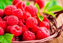 Midagri proyecta escenario comercial favorable para el cultivo de frambuesa