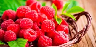 Midagri proyecta escenario comercial favorable para el cultivo de frambuesa