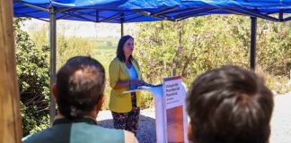 Ministerio de Agricultura destaca 50% de avance en erradicación de brotes de mosca de la fruta a nivel nacional