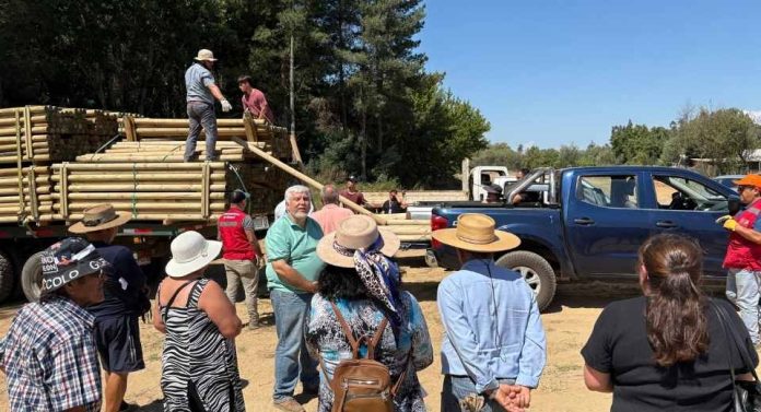 Ministerio de Agricultura entrega apoyo a 373 productores afectados en Ñuble y cierra etapa de primeras ayudas en Trehuaco