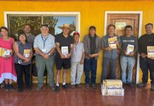 Ministerio de Agricultura realiza entrega de alimentación apícola para productores afectados por incendios en Ñuble