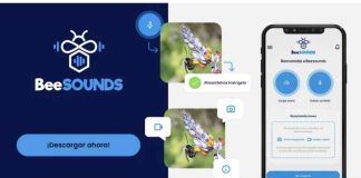 Nueva aplicación “Beesound” identifica abejas nativas por su zumbido para potenciar la polinización en frutales