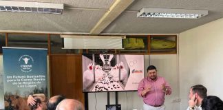 PTI de la Carne Bovina Los Lagos fortalece su gobernanza y proyecta el trabajo conjunto del sector ganadero