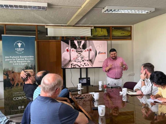 PTI de la Carne Bovina Los Lagos fortalece su gobernanza y proyecta el trabajo conjunto del sector ganadero