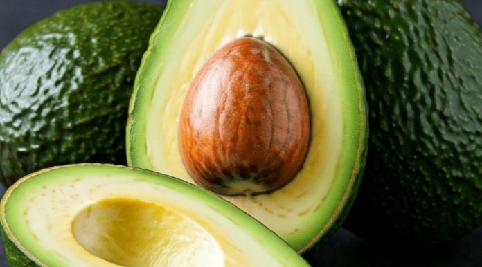 Científicos chilenos buscan extender la vida útil de la palta Hass postcosecha con agentes naturales 