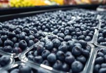 Perú | Seminario Internacional Blueberries Lima 2026 Perú | Seminario Internacional Blueberries Lima 2026