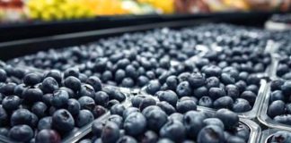 Perú | Seminario Internacional Blueberries Lima 2026