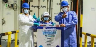 Perú Senasa supervisó primer envío de carne primaria de pavo a Panamá