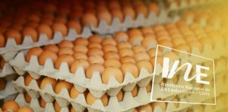 Producción de huevos de consumo, INE