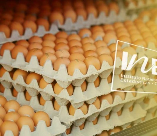 El huevo chileno se reordena — menos volumen, pero con un giro hacia el color | INE mayo 2026 Producción de huevos de consumo, INE