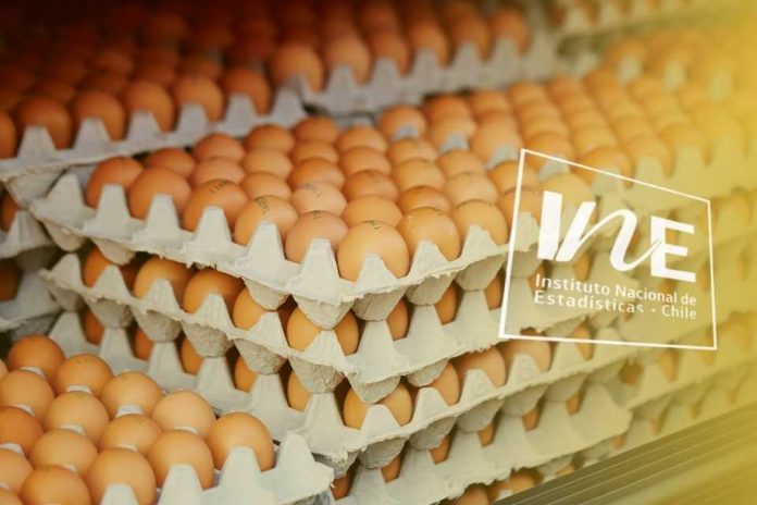 Producción de huevos de consumo, INE
