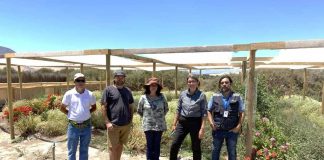 Productora de flores comestibles en Copiapó inició proceso de certificación orgánica.