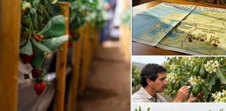 Proyectos de FIA en innovación de MINAGRI en Valparaíso