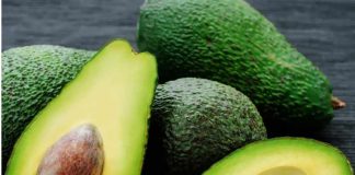 Región de Valparaíso: Catastro Frutícola refleja caída en superficie plantada, pero liderazgo en tecnificación