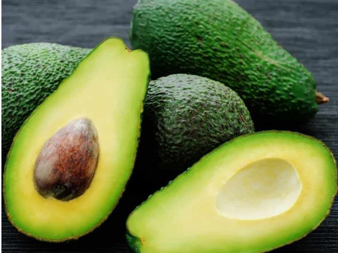 Región de Valparaíso: Catastro Frutícola refleja caída en superficie plantada, pero liderazgo en tecnificación