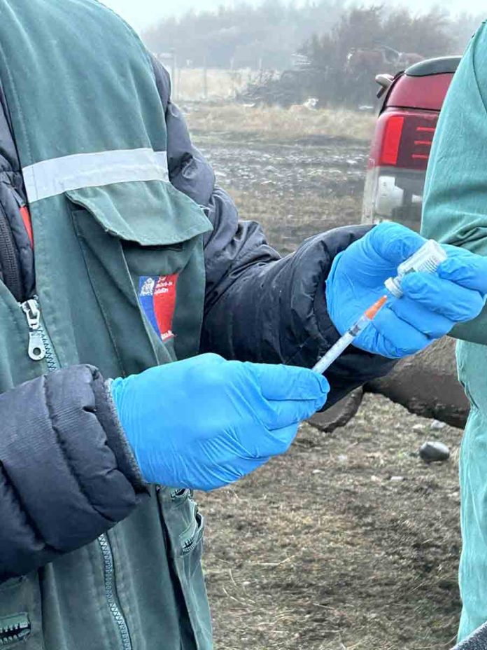 SAG refuerza acciones sanitarias para avanzar hacia una región libre de tuberculosis bovina