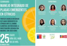 Seminario aborda el manejo integrado de plagas emergentes en cítricos, rubro clave para diversificar la fruticultura nacional Seminario aborda el manejo integrado de plagas emergentes en cítricos, rubro clave para diversificar la fruticultura nacional