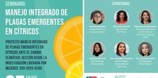 Seminario aborda el manejo integrado de plagas emergentes en cítricos, rubro clave para diversificar la fruticultura nacional