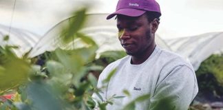 Senda Fruits impulsa su expansión internacional en Fruit Logistica Berlín