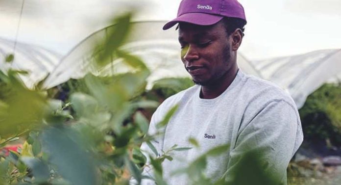 Senda Fruits impulsa su expansión internacional en Fruit Logistica Berlín