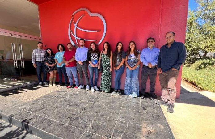 Subpesca y Junaeb ejecutan proyecto piloto para incorporar productos de la pesca artesanal en alimentación escolar