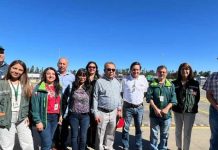 Tras visita de inspectores del Senasica: SAG y Frutas de Chile destacan positivos resultados para los envíos chilenos de frutas frescas a México Tras visita de inspectores del Senasica: SAG y Frutas de Chile destacan positivos resultados para los envíos chilenos de frutas frescas a México