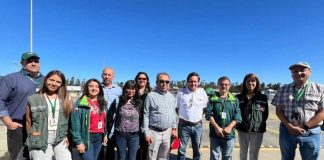 Tras visita de inspectores del Senasica: SAG y Frutas de Chile destacan positivos resultados para los envíos chilenos de frutas frescas a México