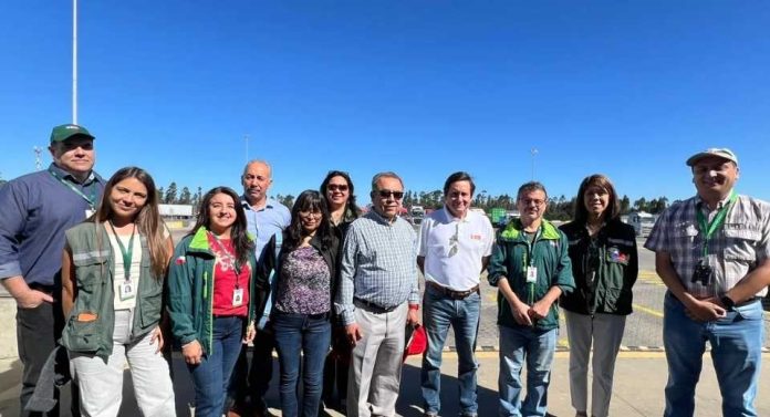 Tras visita de inspectores del Senasica: SAG y Frutas de Chile destacan positivos resultados para los envíos chilenos de frutas frescas a México