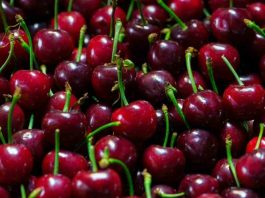 Chile será el primer país del mundo con certificación fitosanitaria 100% digital con China