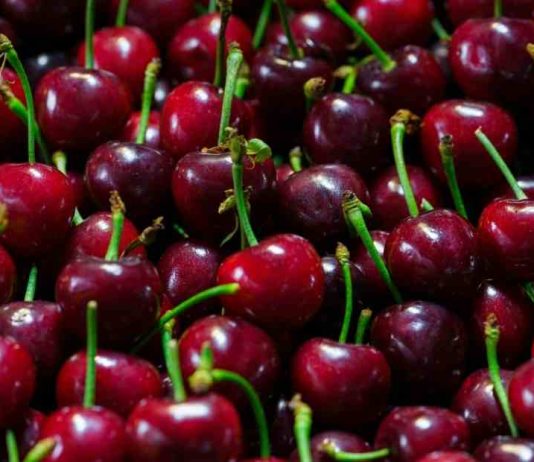 Chile será el primer país del mundo con certificación fitosanitaria 100% digital con China