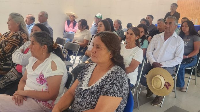 INDAP Coquimbo coordina junto al comité técnico del Plan Caprino la hoja de ruta para este 2026
