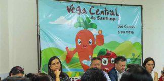 Gobierno coordina apoyos tras incendio en La Vega Central y descarta impacto en precios