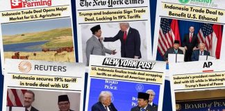 Argentina | Trump nos jodió: Indonesia se compromete a importar un volumen descomunal de poroto y harina de soja estadounidense