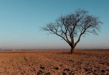 ¿A quién afecta el cambio climático? 65% de participantes de estudios considera que el riesgo es mayor para otros que para sí mismos ¿A quién afecta el cambio climático? 65% de participantes de estudios considera que el riesgo es mayor para otros que para sí mismos