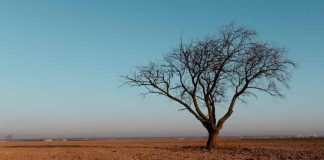 ¿A quién afecta el cambio climático? 65% de participantes de estudios considera que el riesgo es mayor para otros que para sí mismos