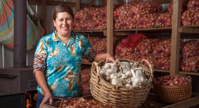 313 faros agroecológicos enseñan cómo producir alimentos sanos y adaptarse al cambio climático